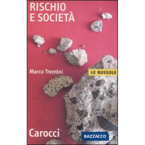 Rischio e società