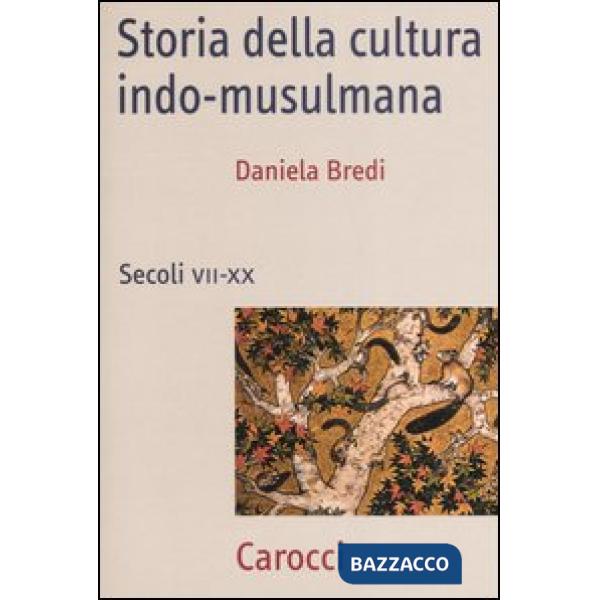 Storia della cultura indo-musulmana. Secoli VII-XX