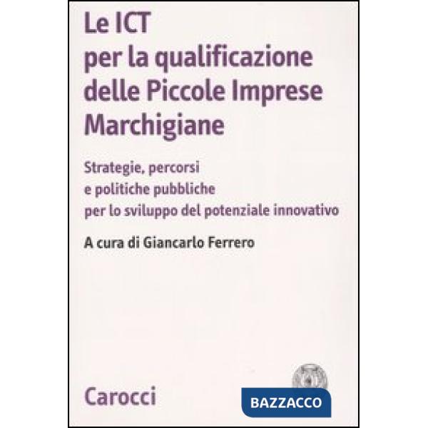 ICT per la qualificazione delle piccole imprese marchigiane. Strategie, percorsi