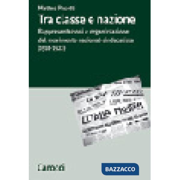Tra classe e nazione. Rappresentazioni e organizzazione del movimento nazional-socialista (1918-1922)