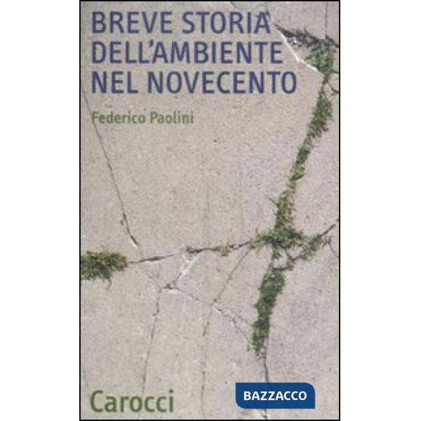 Breve storia dell'ambiente nel Novecento