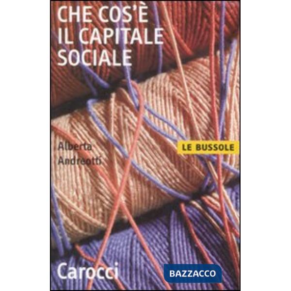 Che cos'è il capitale sociale