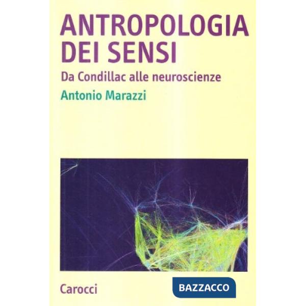 Antropologia dei sensi