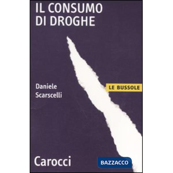 Consumo di droghe (Il)