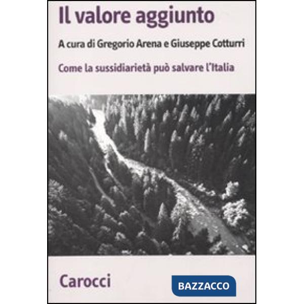 Valore aggiunto. Come la sussidiarietà può salvare l'Italia (Il)