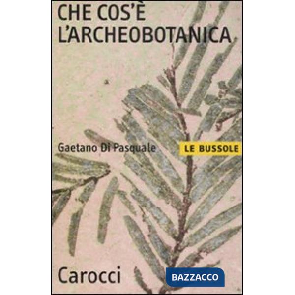 Che cos'è l'archeobotanica