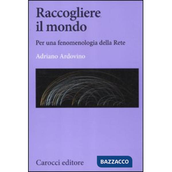 Raccogliere il mondo. Per una fenomenologia della rete
