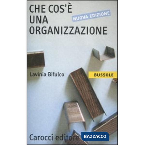 Che cos'è una organizzazione