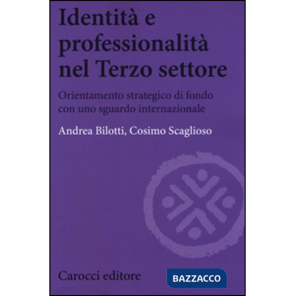 Identità e professionalità nel terzo settore. Orientamento strategico di fondo con uno sguardo internazionale