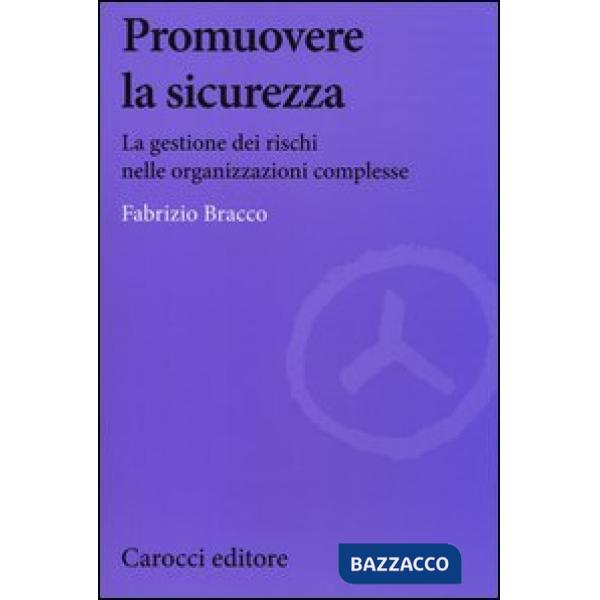 Promuovere la sicurezza. La gestione dei rischi nelle organizzazioni complesse