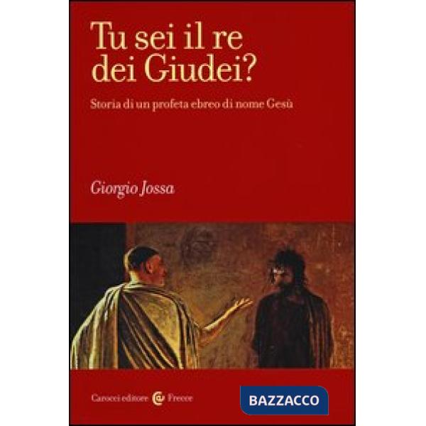 Tu sei il re dei Giudei? Storia di un profeta ebreo di nome Gesù