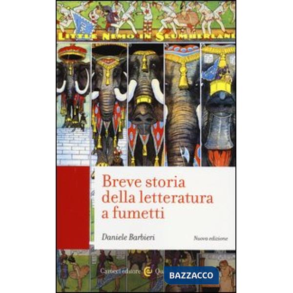 Breve storia della letteratura a fumetti