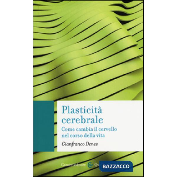 Plasticità cerebrale. Come cambia il cervello nel corso della vita