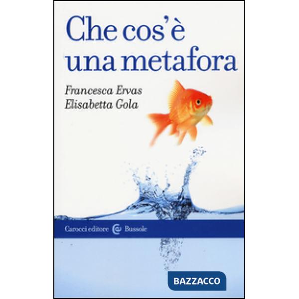 Che cos'è una metafora