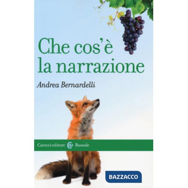 Che cos'è la narrazione
