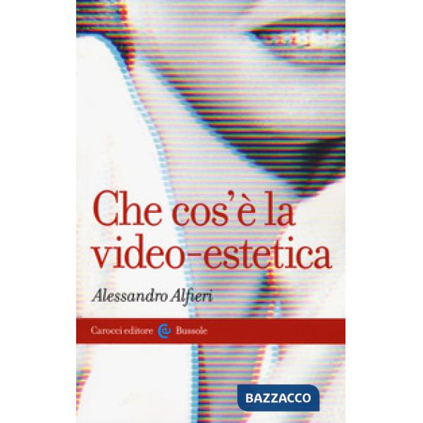 Che cos'è la video-estetica