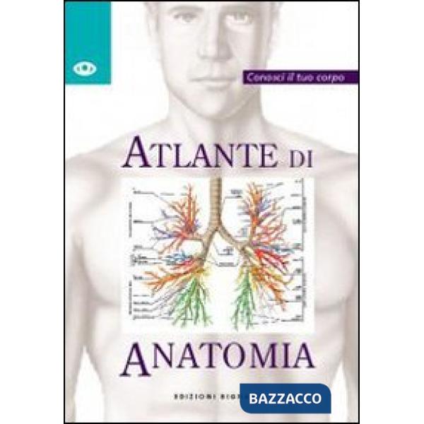 Atlante di anatomia
