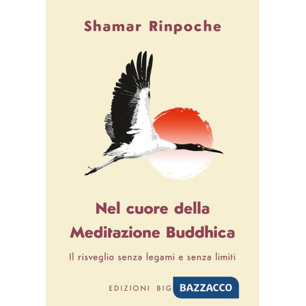Nel cuore della meditazione buddhica. Il risveglio senza legami e senza limiti