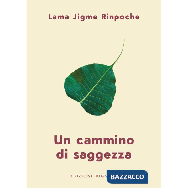 Cammino di saggezza (Un)