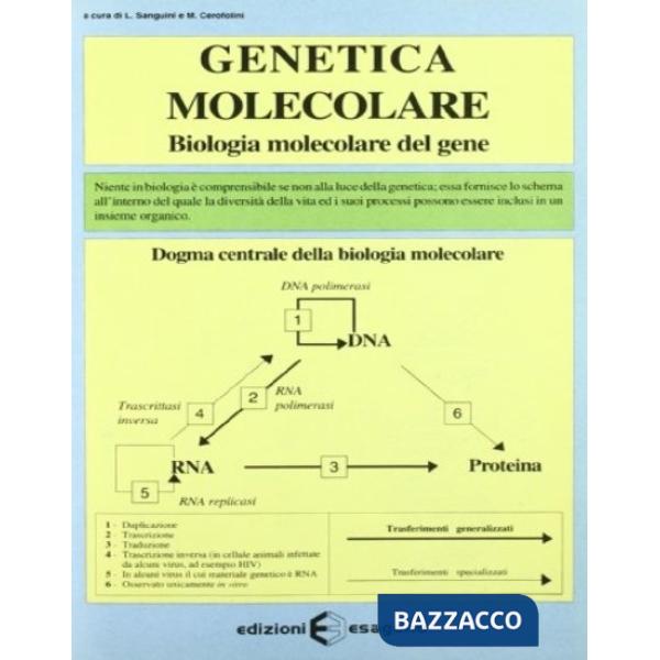 Genetica molecolare. Biologia molecolare del gene