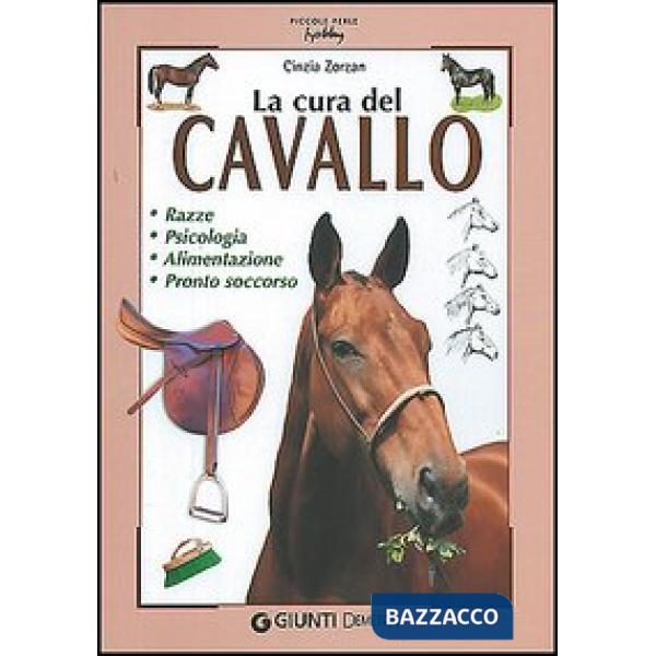 Cura del cavallo