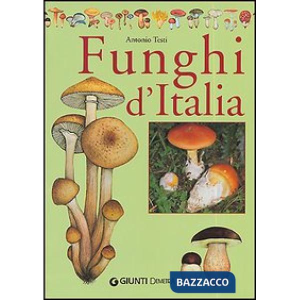 Libro dei funghi d'Italia (Il)