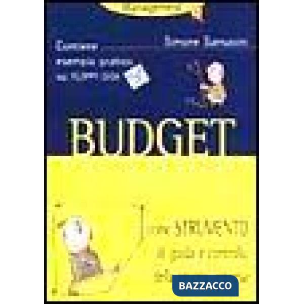 Budget come strumento di guida e controllo della propria impresa. Con floppy disk