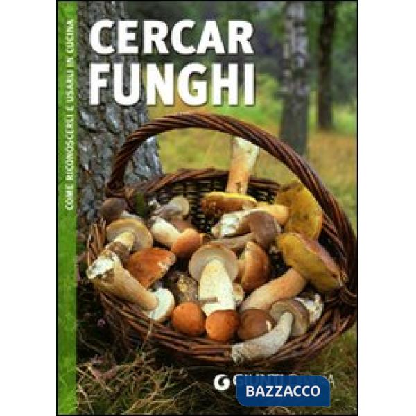 Cercar funghi. Ediz. illustrata