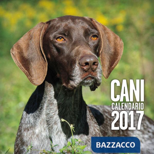 Cani. Calendario 2017