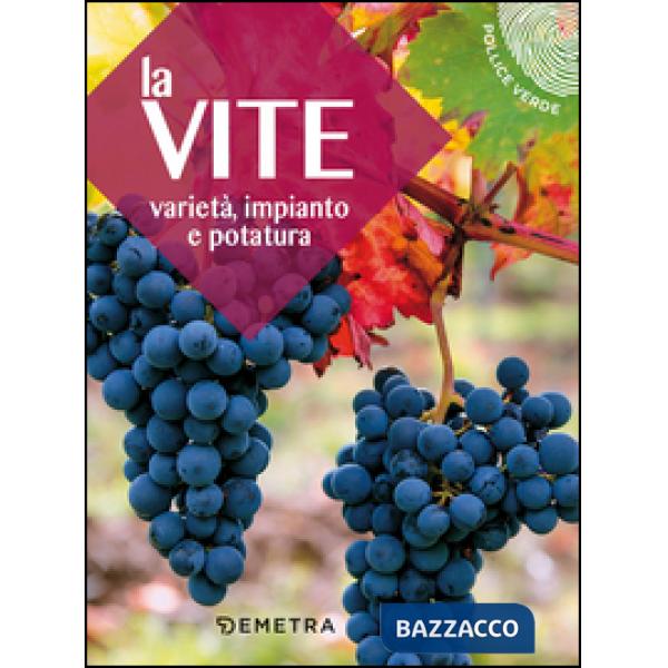 Vite. Varietà, impianto e potatura (La)