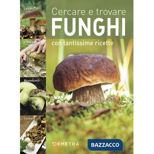 Cercare e trovare funghi. Cercarli, trovarli, riconoscerli, cucinarli