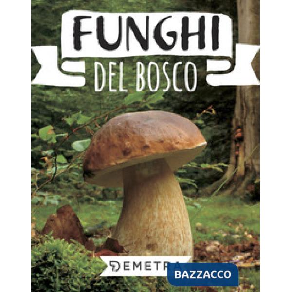 Funghi del bosco