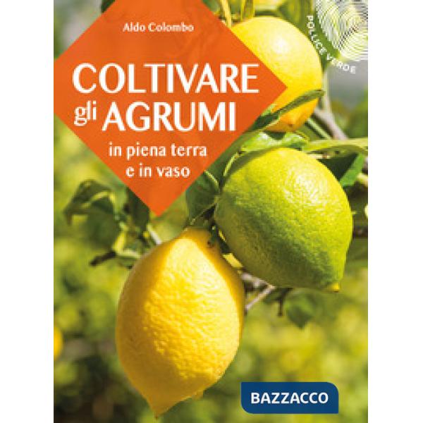 Coltivare gli agrumi in piena terra e in vaso