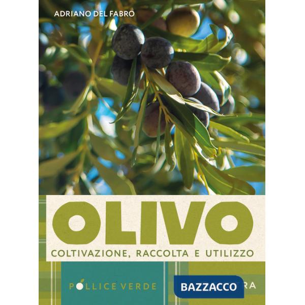 Olivo. Coltivazione, raccolta e utilizzo (L')