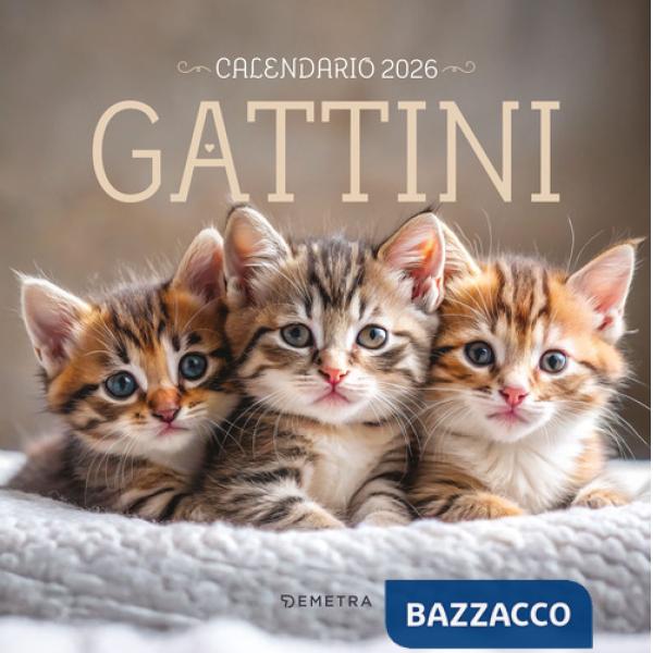 Gattini. Calendario 2026 da parete