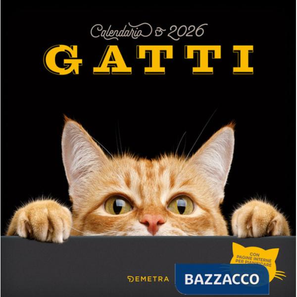 Gatti. Calendario 2026 da parete