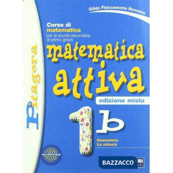 MATEMATICA ATTIVA MISTO 1B