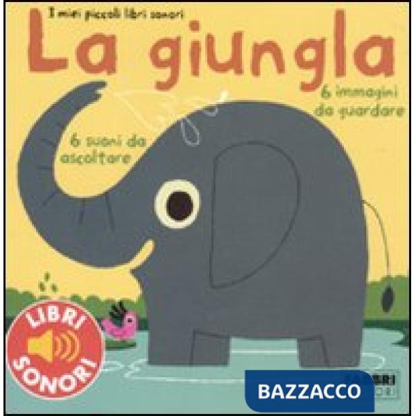 Giungla. Ediz. illustrata (La)