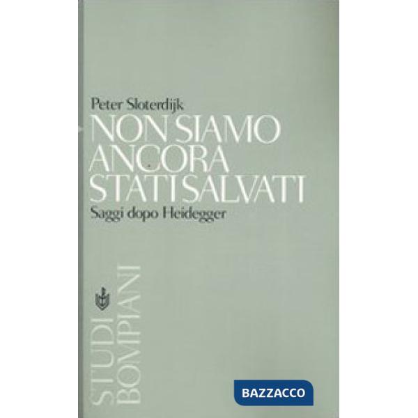 Non siamo ancora stati salvati. Saggi dopo Heidegger