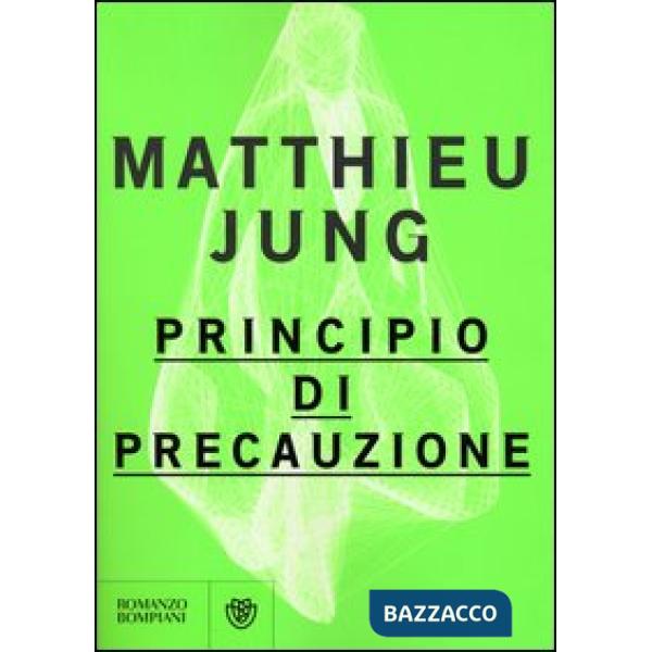 Principio di precauzione