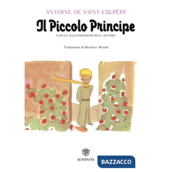 Piccolo Principe (Il)