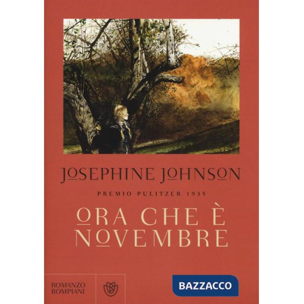 Ora che è novembre