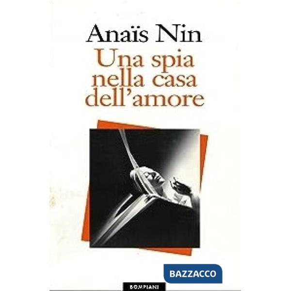 Spia nella casa dell'amore (Una)