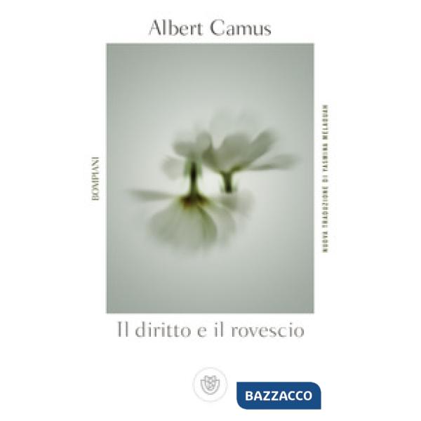 Diritto e il rovescio (Il)