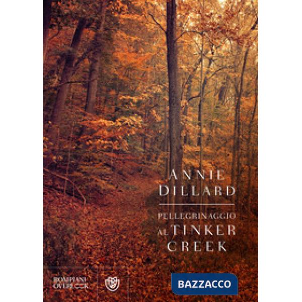 Pellegrinaggio al Tinker Creek