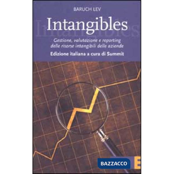 Intangibles. Gestione, valutazione e reporting delle risorse intangibili delle aziende