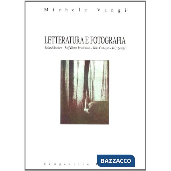 Letteratura e fotografia. Roland Barthes, Rolf Dieter Brinkmann, Julio Cortázar, W. G. Sebald
