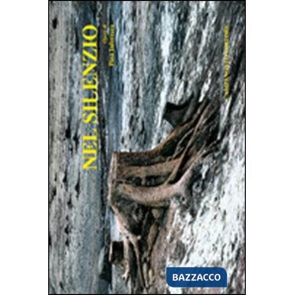 Nel silenzio. Ediz. illustrata