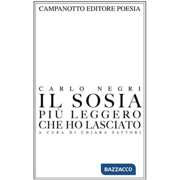 Sosia più leggero che ho lasciato (Il)