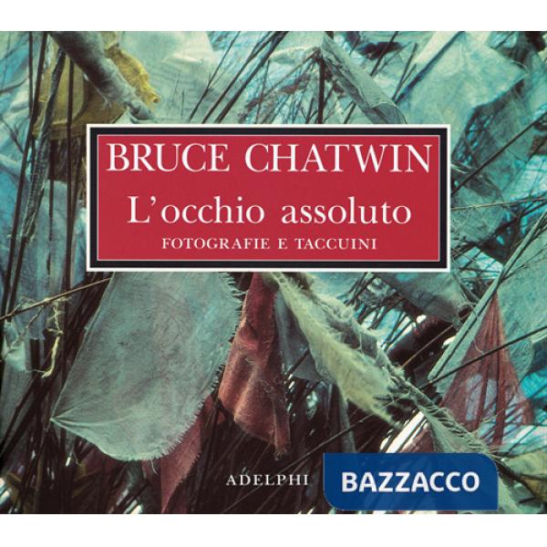 Occhio assoluto. Fotografie e taccuini. Ediz. illustrata (L')